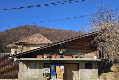 Casă cu 3 camere cu Teren 2800 Mp în Voinești