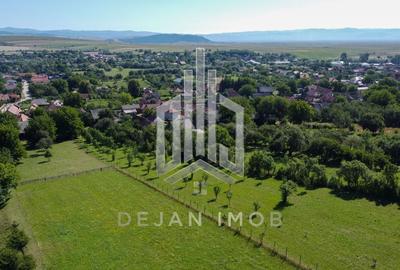 Teren Intravilan | 7.850 mp | Turia - 4