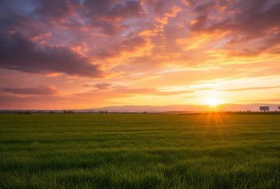 Spațiu comercial, în Hălchiu - 3