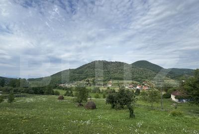 Teren intravilan, 4364 mp, in Luncoiu de Jos - 6