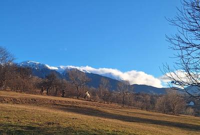 Spațiu comercial, în Sohodol - 7