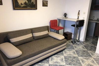 Garsonieră nedecomandată în Șagului - 8