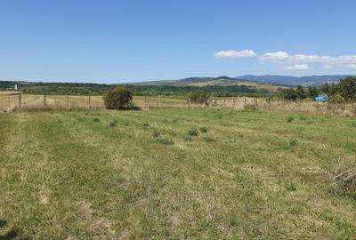 Casă cu 4 camere în Rușii-Munți - 2