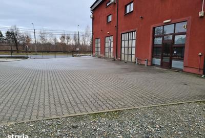 Spațiu comercial, de 400 mp, în Valea Borcutului - 15