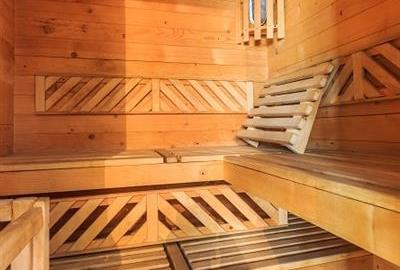 Hotel Bielmann,unicitate si profitabilitate optima in turism,Sanpetru, Brasov - 24