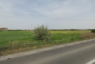 Teren Construcții intravilan de 7000 mp, în Vest - 2