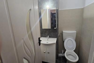 Apartament 1 camera decomandat etaj 2  Aradului artera aproape de Iulius Mall - 9