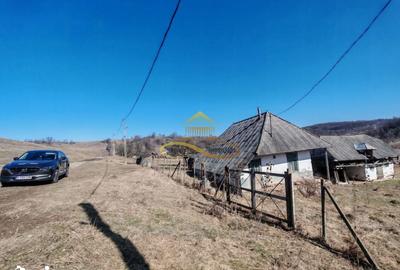 Teren de 6625 mp, în Mărgineni - 2