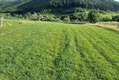 Teren de 5000 mp, în Gura Râului - 5