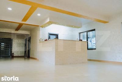 Spațiu comercial, de 910 mp, în Roșia Montană - 10