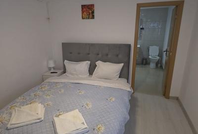 Pensiune la Cheia, moderna, functionala in totalitate, vedere mirifica (chirie) - 7