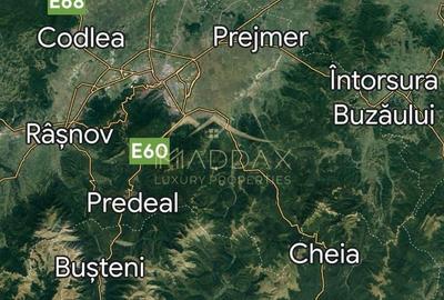 Teren Construcții intravilan de 50000 mp, în Bod - 3