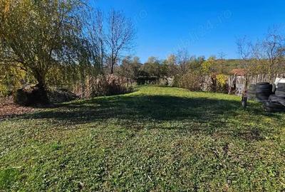 Casă în Ribița - 2