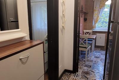 Apartament cu 2 camere semidecomandat în Timișoara - 4