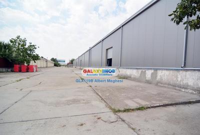 Hala 450 mp Popesti Leordeni platforma industriala - 1