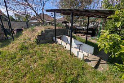 Casă cu 4 camere cu Teren 2878 Mp în Mailat - 4