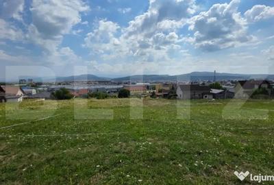 Teren de 10000 mp, în Cetății - 2