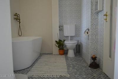 Topoloveni - Conacul Ion Mihalache, Domeniu pe 5 Hectare - 29
