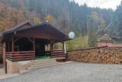Cabana de vanzare, Afacere la cheie! 230 mp utili, zona Baisoara! - 9