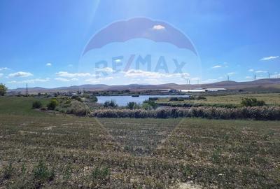 Teren extravilan de vanzare in Tulcea - 1