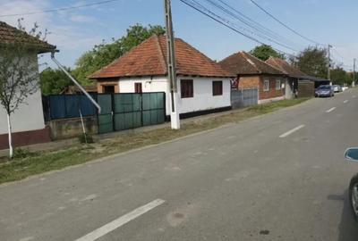 Vand Casa cu Gradina - 3