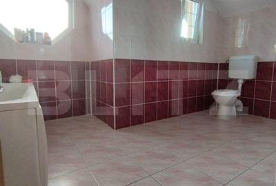 Casa 5 camere, curte frumos amenajata, 524mp teren, San Mihaiu German - 11
