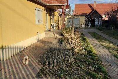 Vand casa Vand casa - 1
