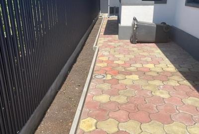 Casa Rahova -Alexandriei 2 Corpuri Finisaj Premium - 21