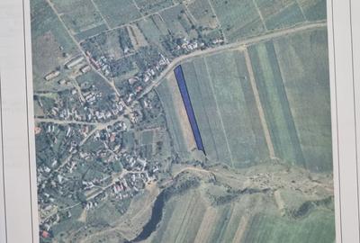 Teren de 5000 mp, în Râmnicu Sărat - 5