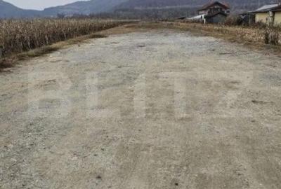 Teren de 2600 mp, în Șoimuș - 3