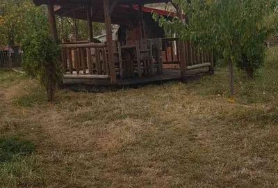 Teren de 6200 mp, în Mogoșești - 3