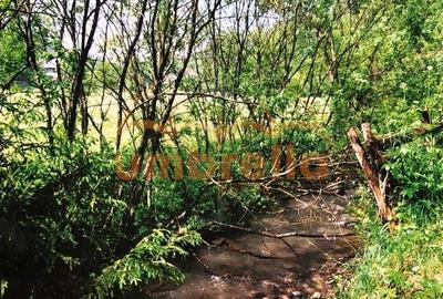 Teren Construcții intravilan de 34201 mp, în Vărșag - 6