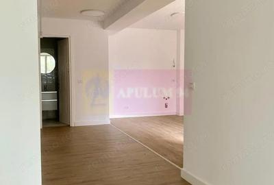 Apartament cu 2 camere decomandat în Armeneasca - 16