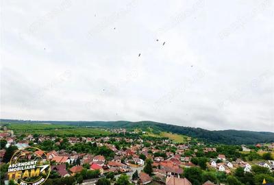 3D Tur! 3 camere,decomandate,apreciabila ariere,Dealului,Simeria,Sfantu Gheorghe - 15