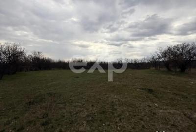 Teren în Drăganu - 4