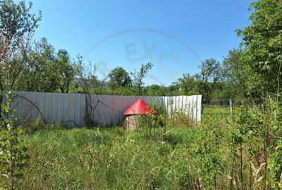 Proprietate industriala de vanzare Hartiesti, jud. Ar - 3