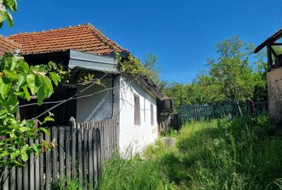 Casă cu 2 camere în Predeal - 3