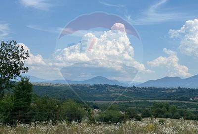 Teren 857mp Zarnesti / Strada F.N - 4