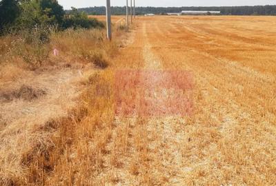 Teren de 2000 mp, în Brănești - 2