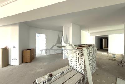 Penthouse cu gradina proprie - 5