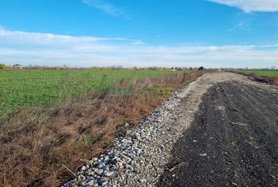 DN4 Popesti -Frumusani -  Vanzare teren 500 mp - 9