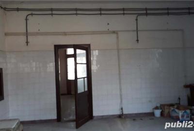 Casă cu 6 camere cu Teren 1880 Mp în Nistorești - 2