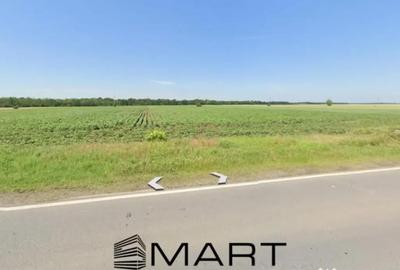 Teren în Scrioaștea - 2