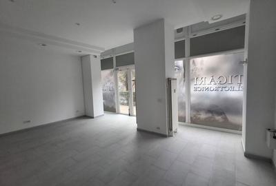 Spatiu comercial cartier Tineretului - 1