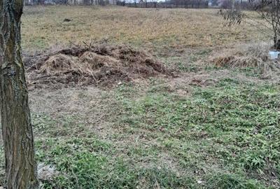 Casă cu 2 camere cu Teren 3240 Mp în Mânăstireni - 4