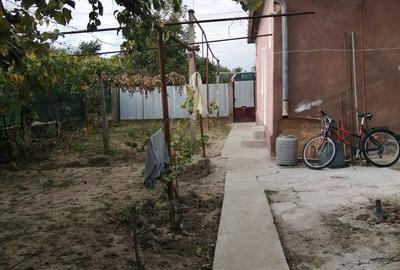 Casă cu 2 camere în Diosig - 8