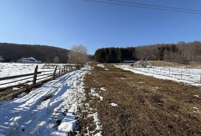 Teren Construcții intravilan de 4521 mp, în Valea Doftanei - 11