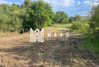 Oportunitate de Investiție Strategică | Teren Intravilan | Colonia Becas Oportunitate de Investiție Strategică | Teren Intravilan | Colonia Becas - 13