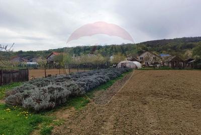 Casă cu 3 camere cu Teren 1361 Mp în Gârdani - 17