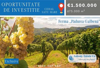 Oportunitate de investitie, Ferma Padurea Galbena  - Cehal, Marghita - 1